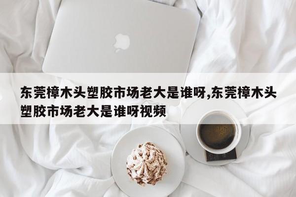 东莞樟木头塑胶市场老大是谁呀,东莞樟木头塑胶市场老大是谁呀视频